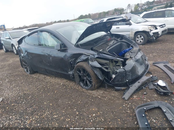 2025 Tesla Model Y