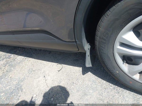 Image 13
