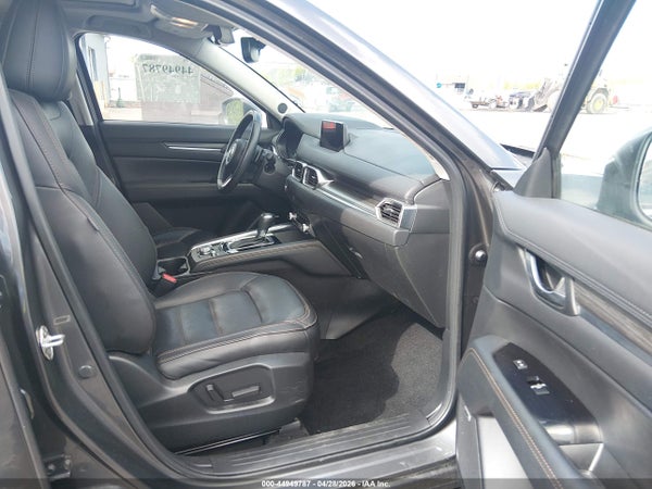 Image 5
