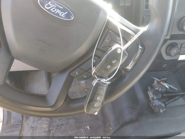 Image 11