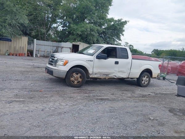 Image 14