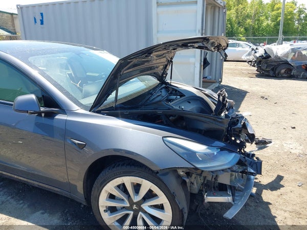 Thumbnail 19