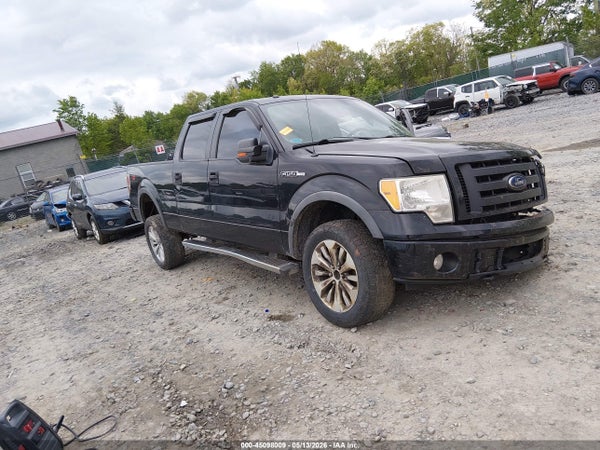 2010 Ford F-150