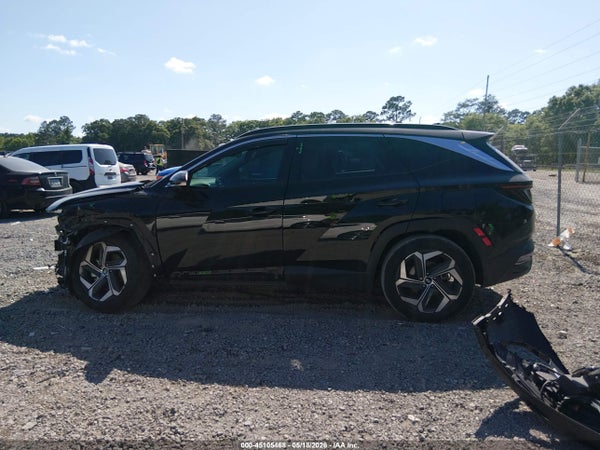 Thumbnail 15
