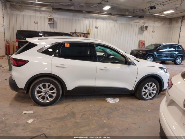 Thumbnail 13