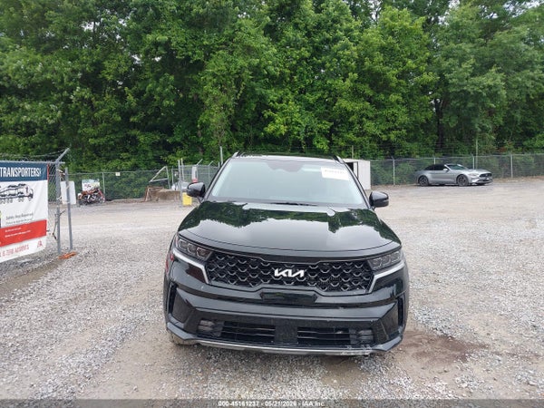 Thumbnail 11