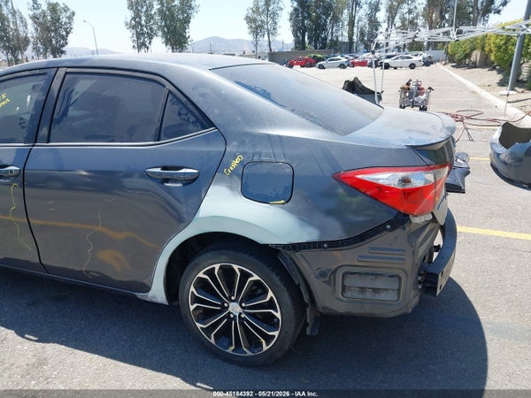 Image 19