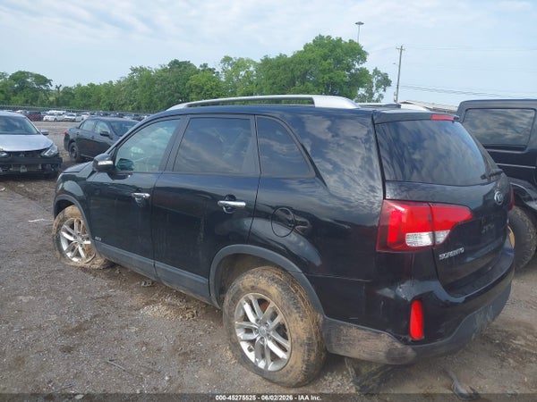Thumbnail 14