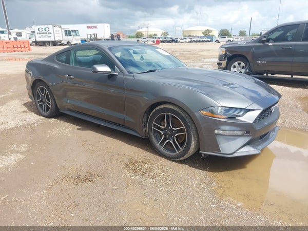 2019 Ford Mustang