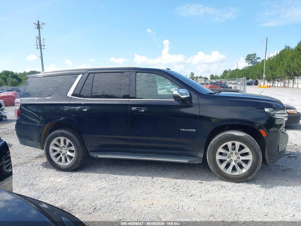 Image 14