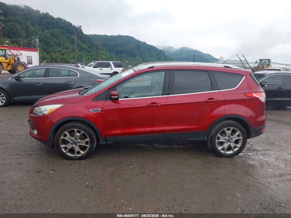 Thumbnail 14