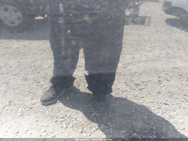 Thumbnail 19