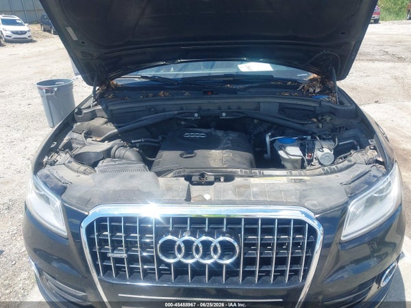 Thumbnail 10