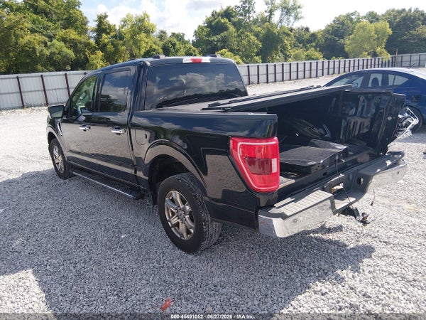 Thumbnail 3
