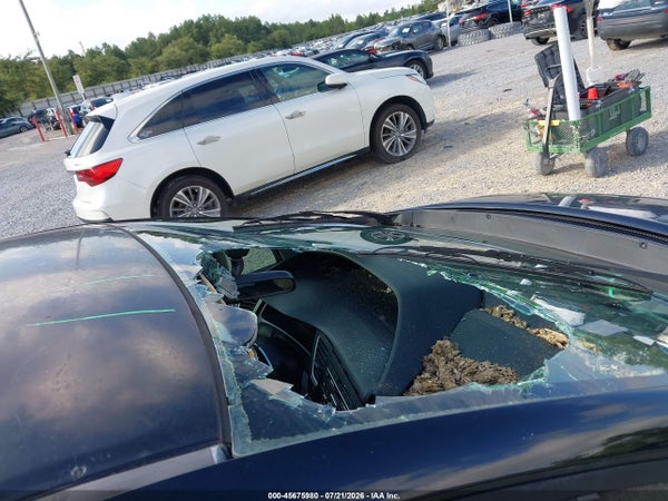 Thumbnail 17