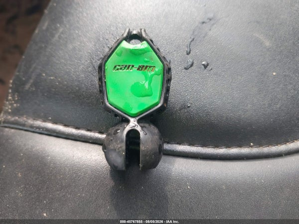 Thumbnail 11