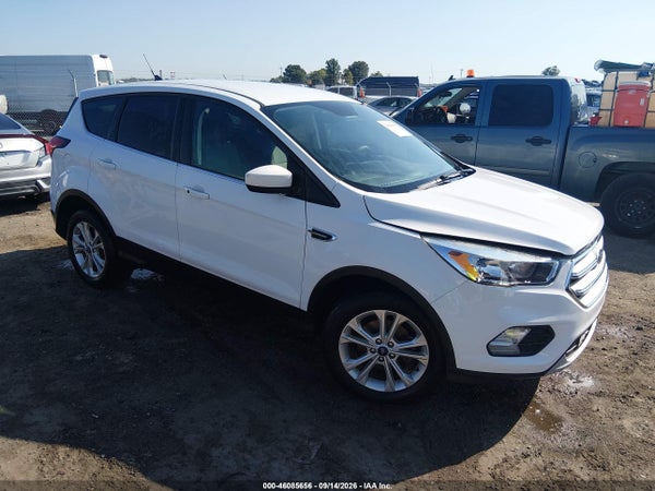 2019 Ford Escape