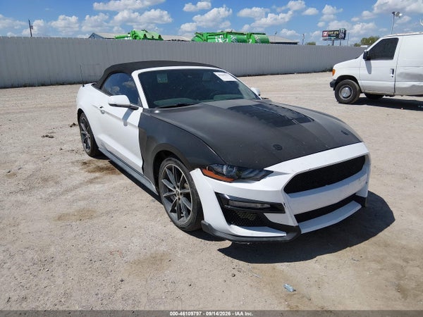 2019 Ford Mustang