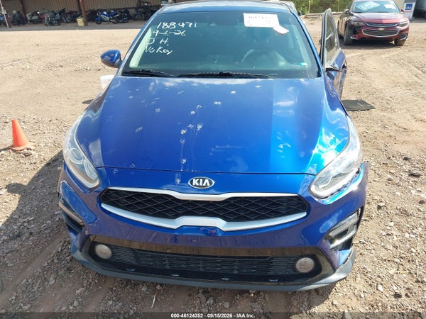 Thumbnail 11