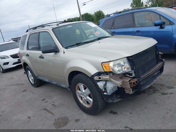 2010 Ford Escape