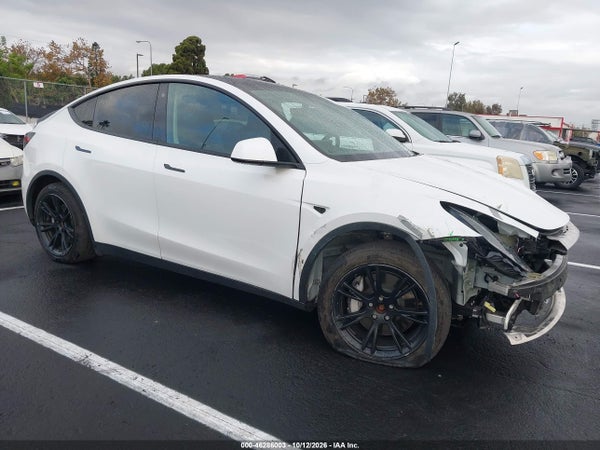 2020 Tesla Model Y