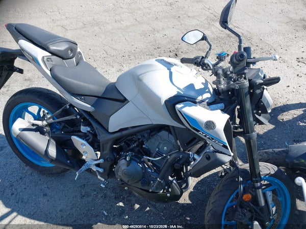 2025 Yamaha Mtn320