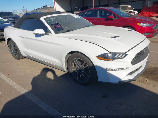 2019 Ford Mustang