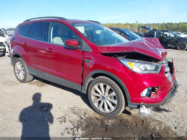 2019 Ford Escape