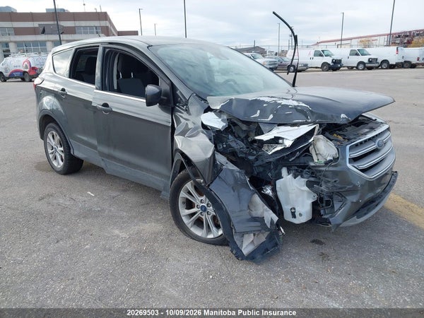 2019 Ford Escape