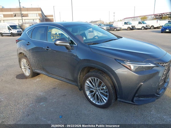 2024 Lexus Nx350