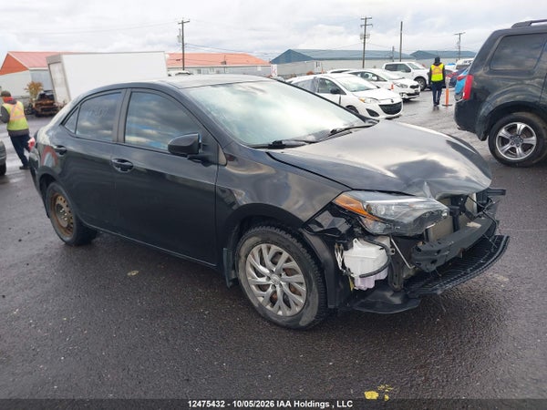 2019 Toyota Corolla