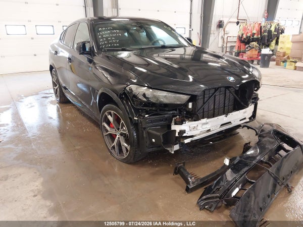 2025 BMW X6