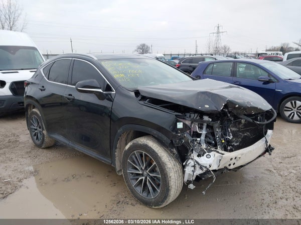 2025 Lexus Nx 350