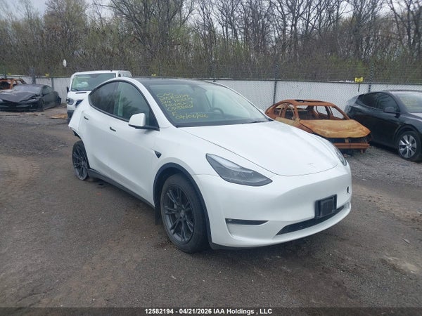 2024 Tesla Model Y