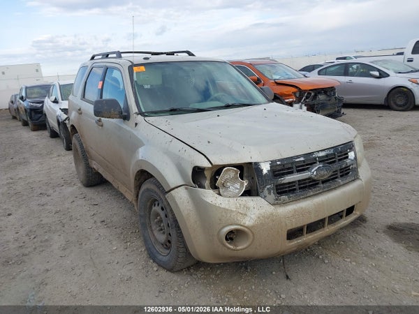 2010 Ford Escape