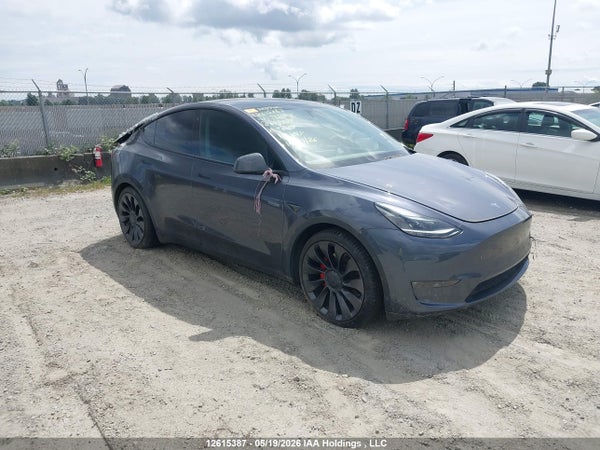 2023 Tesla Model Y