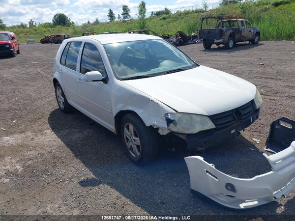 2010 Volkswagen Golf City