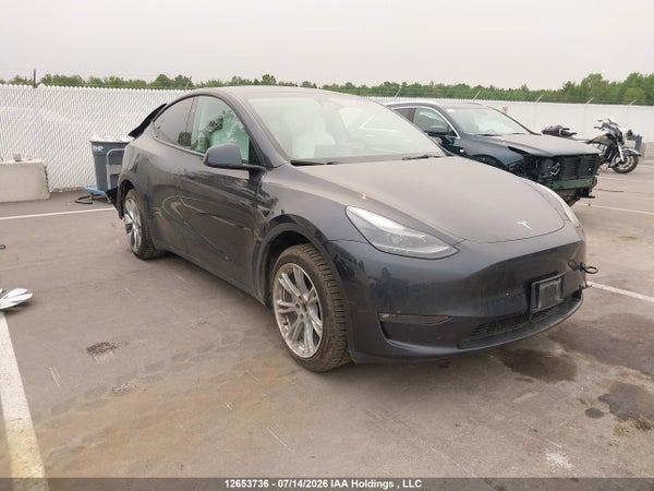 2024 Tesla Model Y
