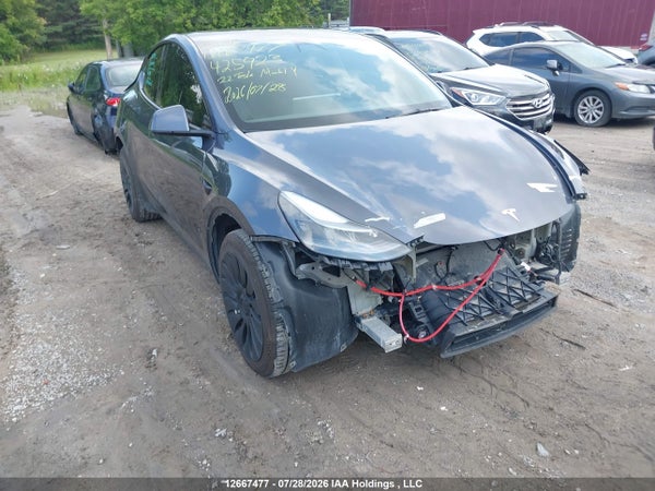 2022 Tesla Model Y