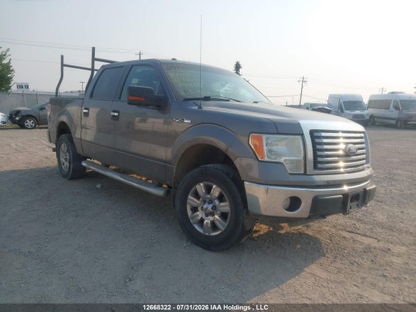 2010 Ford F150