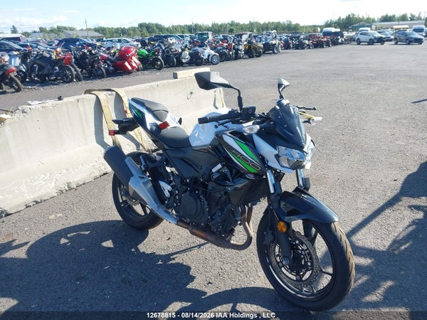 2019 Kawasaki Er400