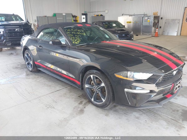 2020 Ford Mustang