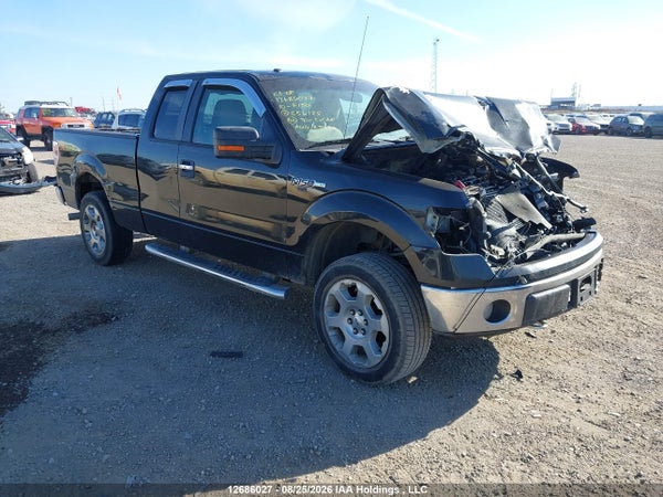 2010 Ford F-150