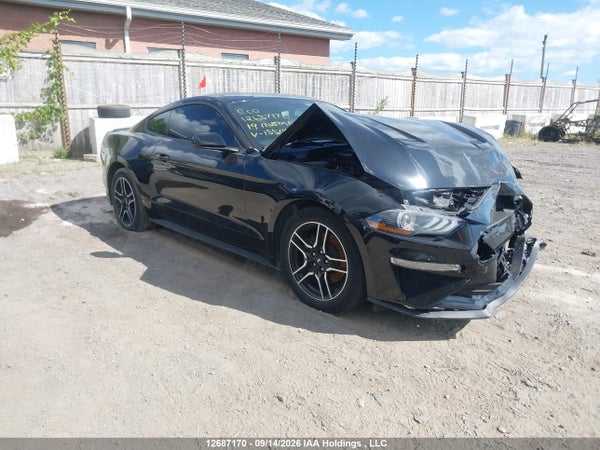 2019 Ford Mustang