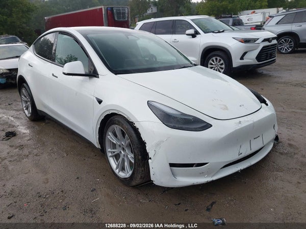 2024 Tesla Model Y
