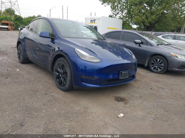 2024 Tesla Model Y