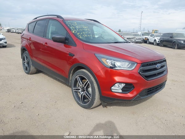 2019 Ford Escape