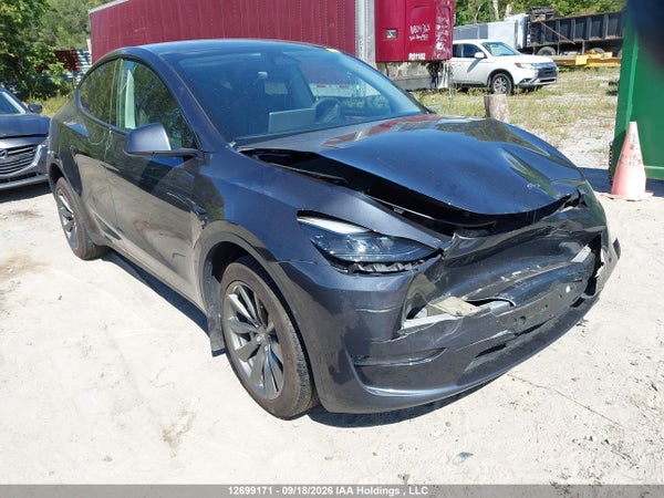 2024 Tesla Model Y