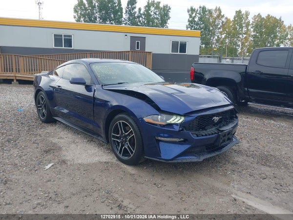 2019 Ford Mustang