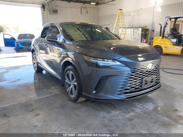 2024 Lexus Rx